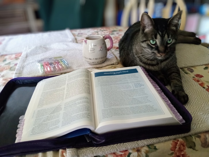A tabby cat with striking green eyes sits on a floral-patterned tablecloth next to an open book, which appears to be a study or reference book. A white mug with a cat face design is placed beside the book, and a pack of multicolored highlighters is visible on a cloth. The background suggests a calm, cozy indoor setting.