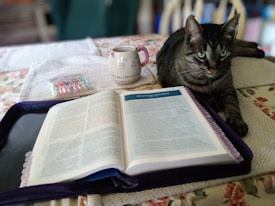 A tabby cat with striking green eyes sits on a floral-patterned tablecloth next to an open book, which appears to be a study or reference book. A white mug with a cat face design is placed beside the book, and a pack of multicolored highlighters is visible on a cloth. The background suggests a calm, cozy indoor setting.