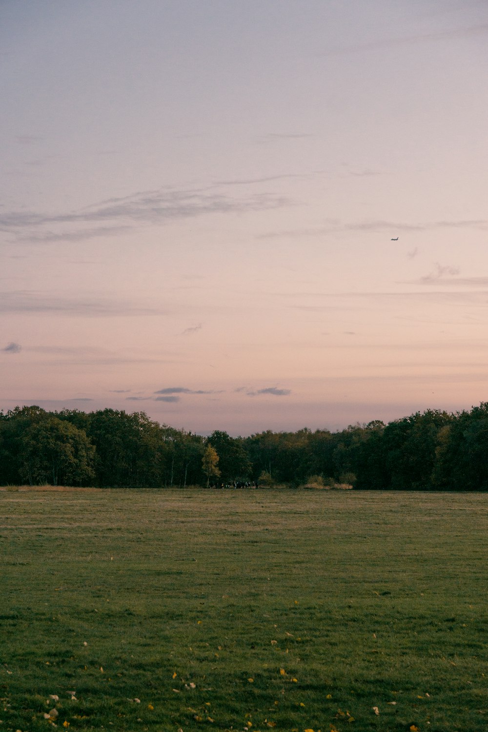 a grassy field with trees in the background