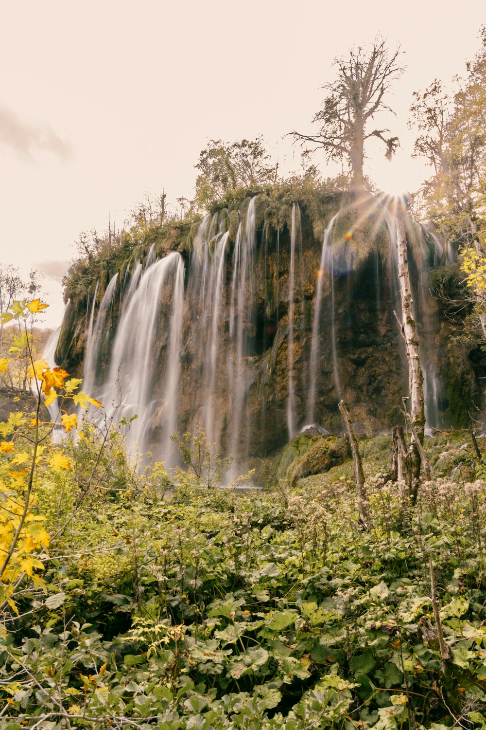 a large waterfall in the middle of a forest