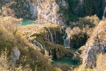 A stunning landscape features cascading waterfalls surrounded by lush greenery and rocky cliffs. The water flows into a clear turquoise pool, and the area is dotted with trees and vegetation. Sunlight bathes the scene, adding a warm golden hue.