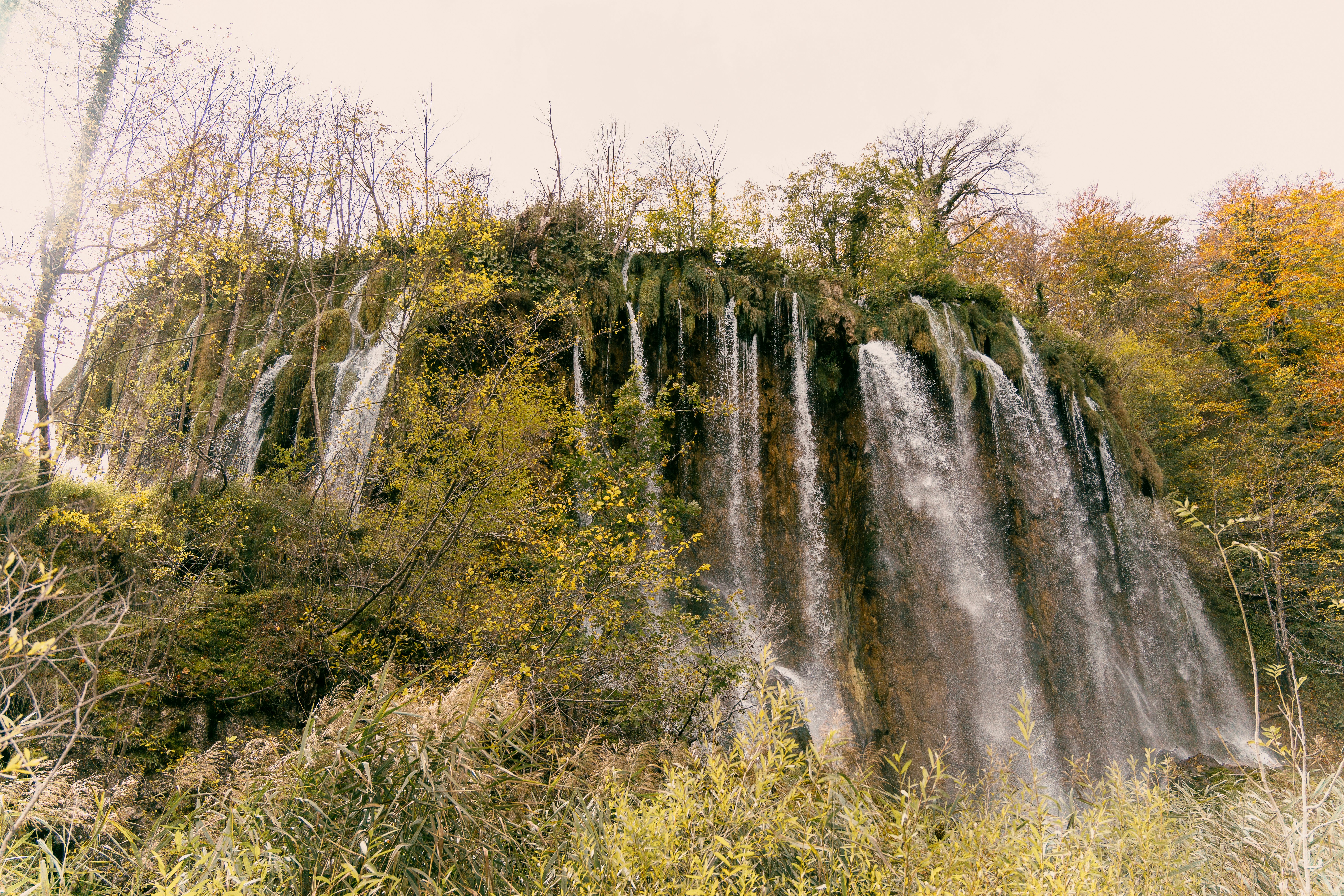 a large waterfall in the middle of a forest