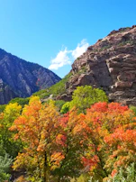 A scenic mountain view from Denver, Colorado, with autumn leaves and a clear blue sky.