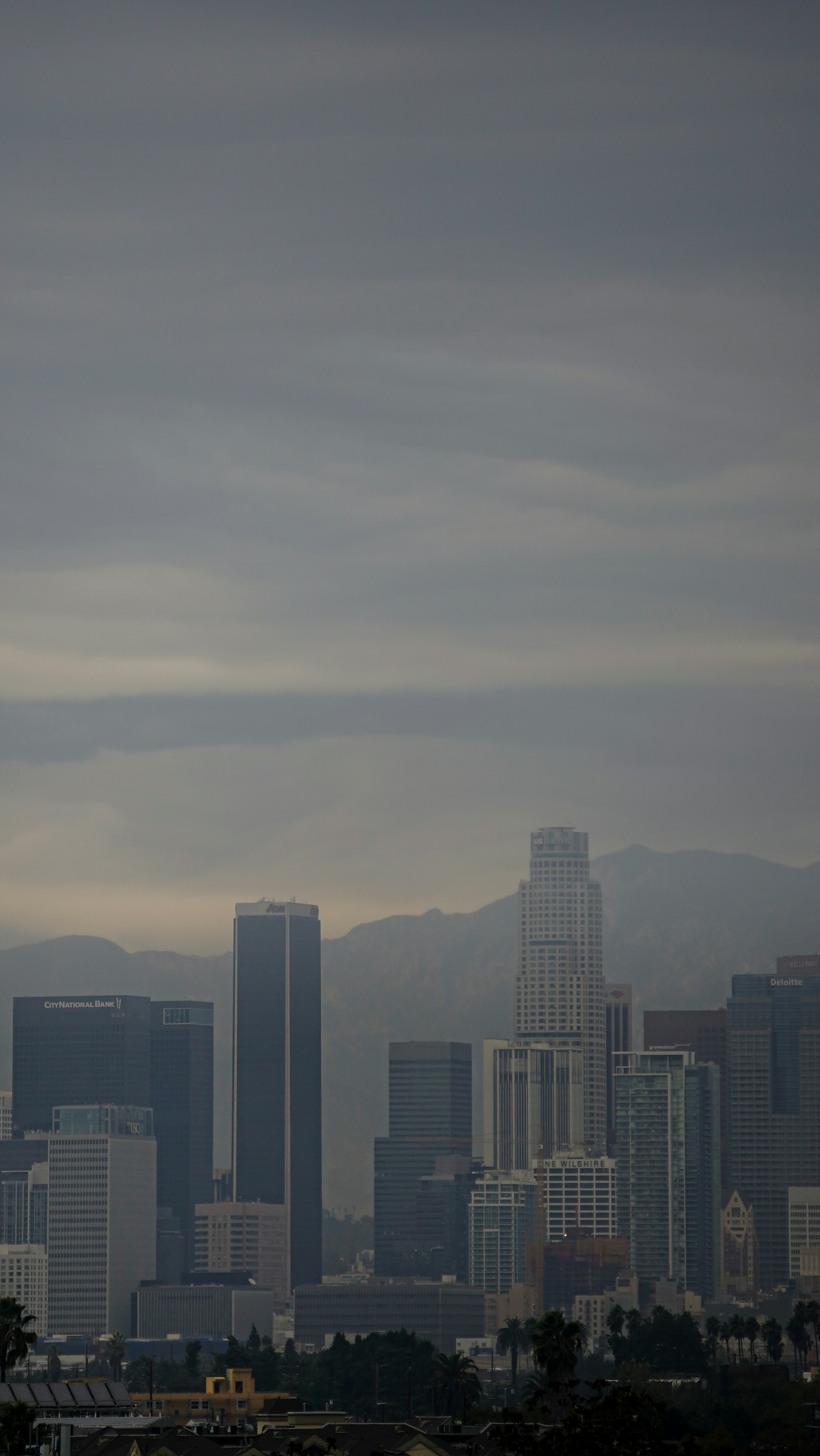 a view of a city with a plane flying in the sky