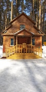 A wooden log cabin with intricate carvings stands in a snowy forest. The building features decorative elements around the door and windows, with a wooden ramp leading to the entrance. Tall pine trees surround the structure, creating a serene and rustic atmosphere.