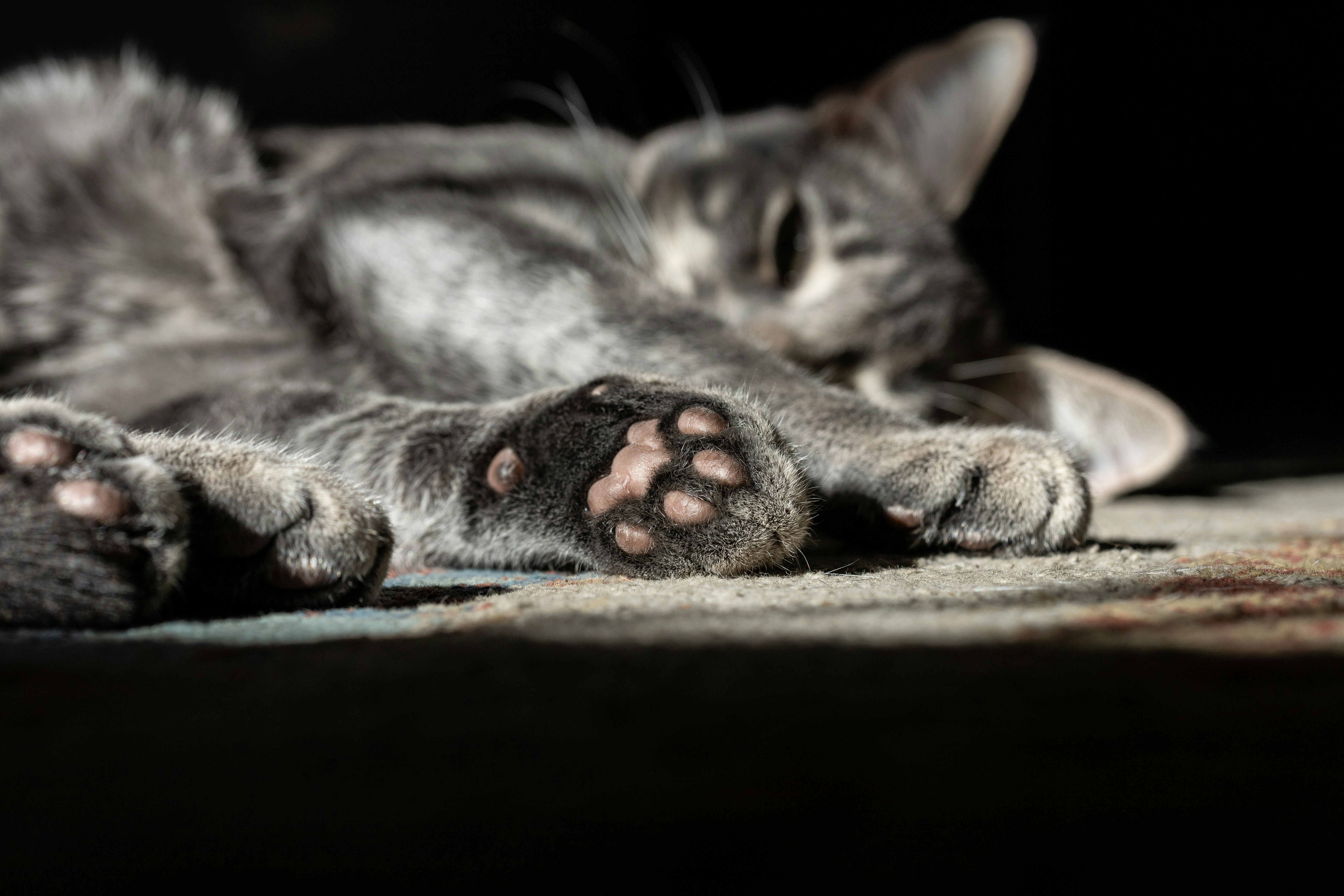 Breathing Patterns (image credits: unsplash)