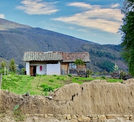 A rustic house with a tiled roof stands surrounded by lush green grass and a dirt path. The building appears aged, with sections of wooden paneling and a weathered white exterior. There is a scenic backdrop of rolling hills under a partly cloudy sky, and some trees flank the area, adding to the rural charm.