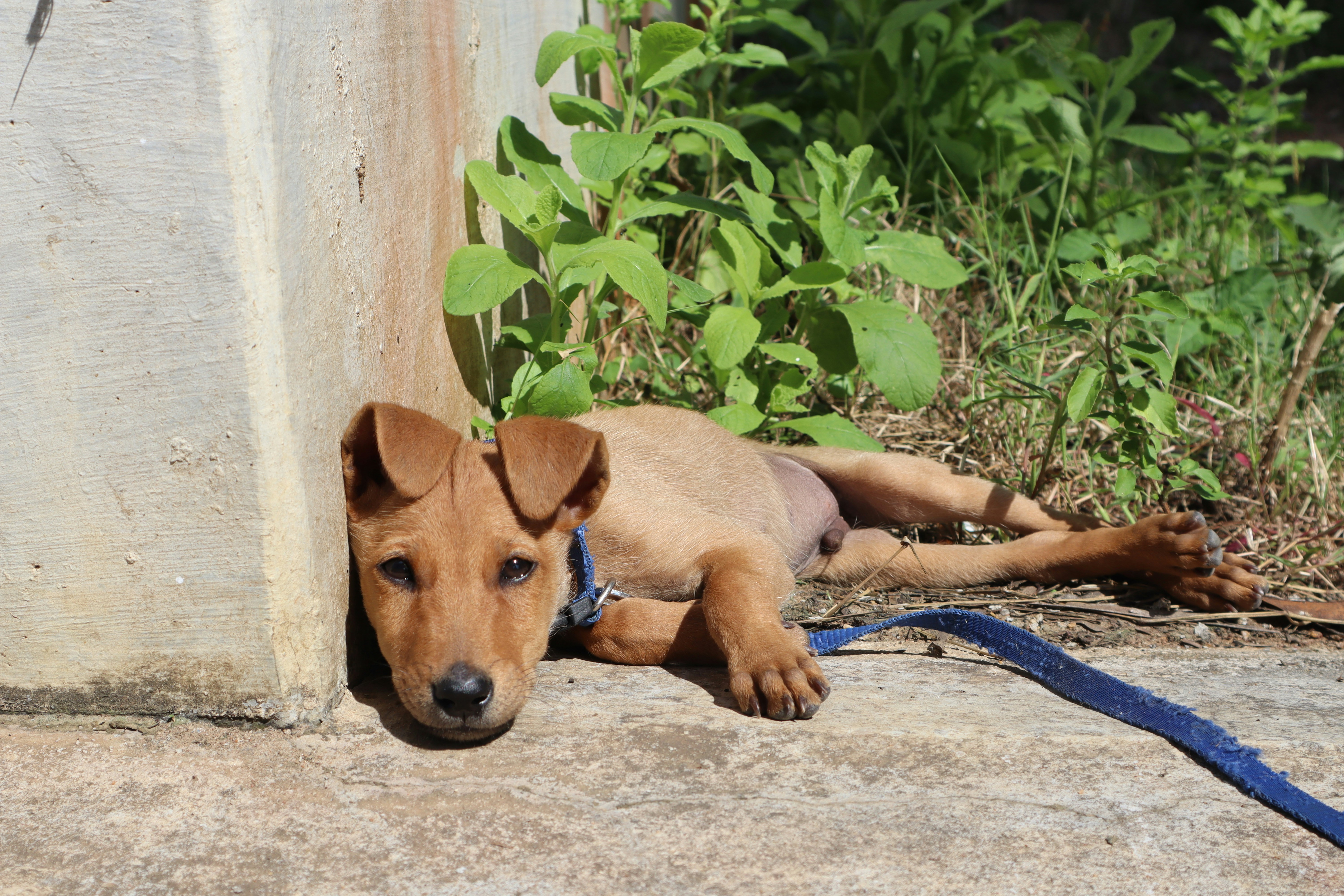 Photo by laavanya_bhattt