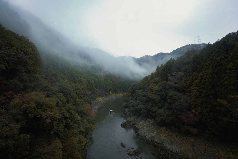 a river flowing through a lush green forest