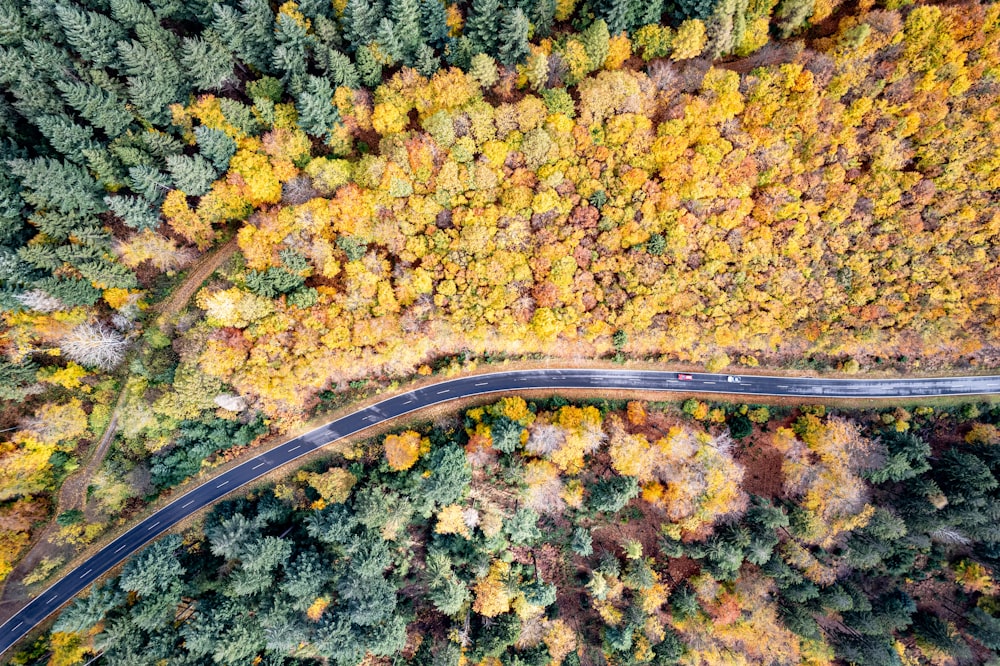 an aerial view of a road surrounded by trees