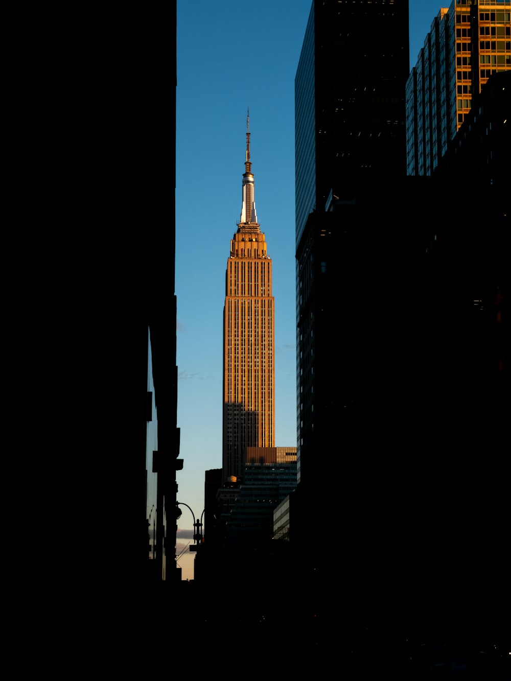 a tall building towering over a city filled with tall buildings