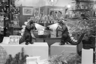Two toy figures resembling dinosaurs or monsters are positioned facing each other on display pedestals. They have spiky backs and are emitting light beams from their mouths. The scene is set within a store window decorated with ferns and other plants in pots.
