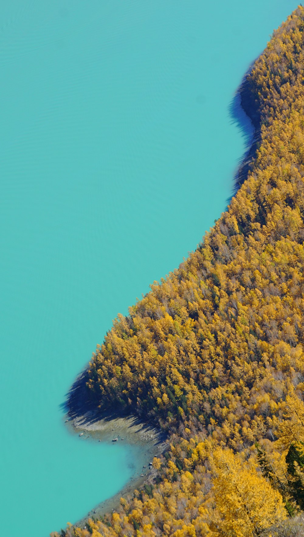 an aerial view of a lake surrounded by trees