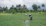 Indonesian farmers working responsibly in lush green fields.