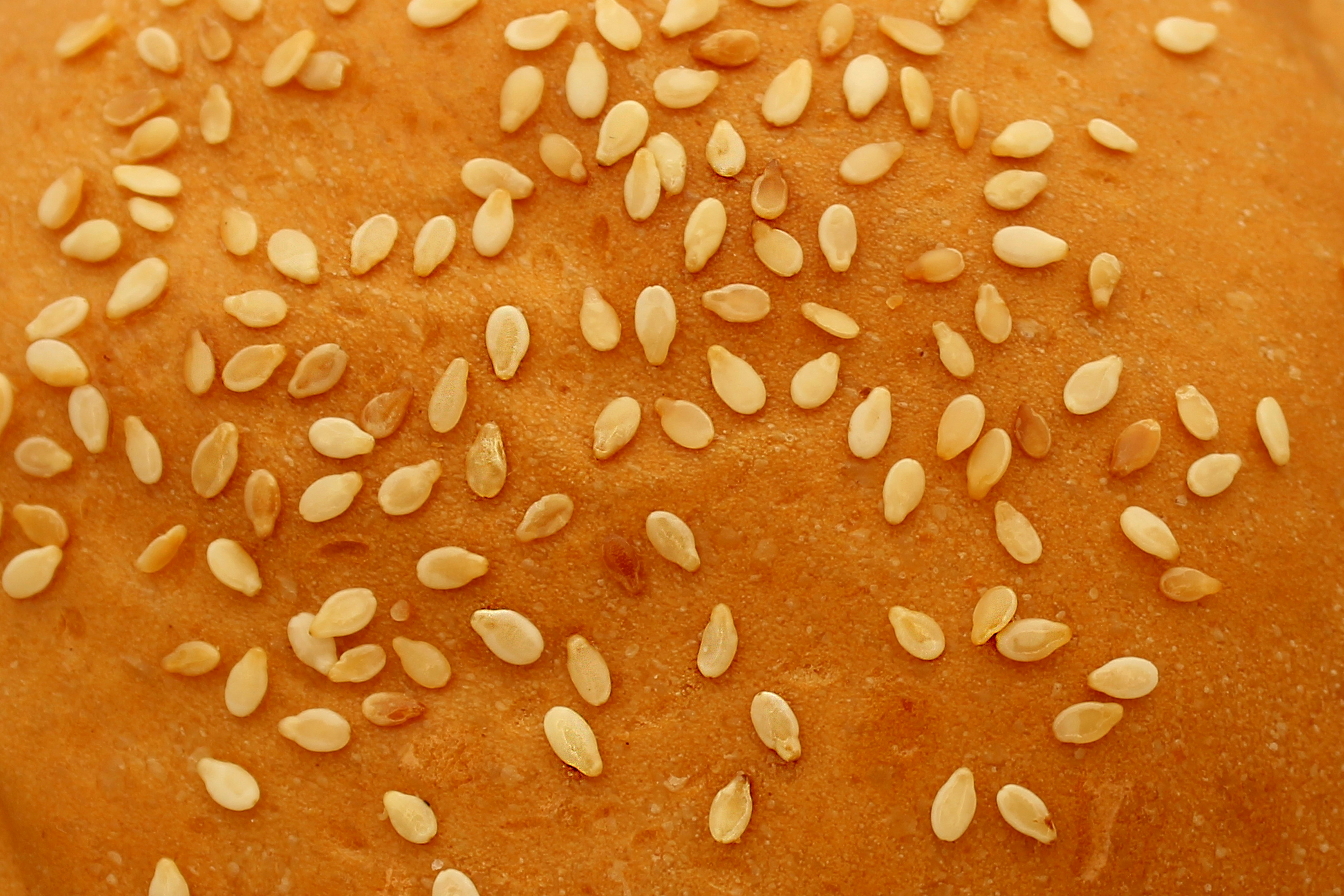 a loaf of bread with sesame seeds on top