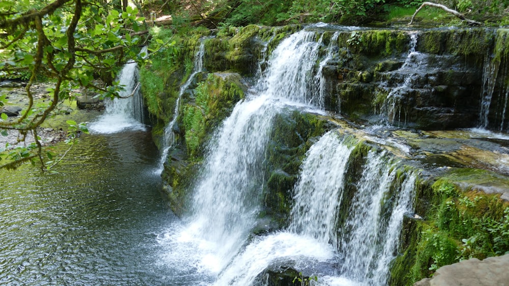 a small waterfall in the middle of a forest