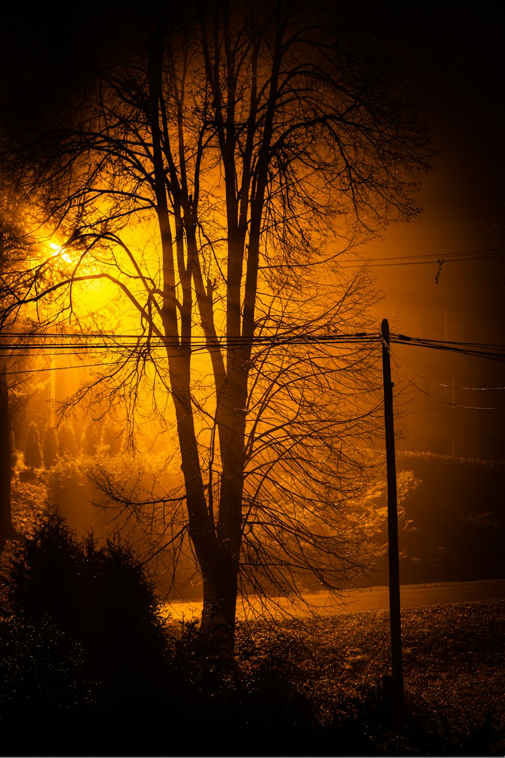 a street light shines brightly in the dark