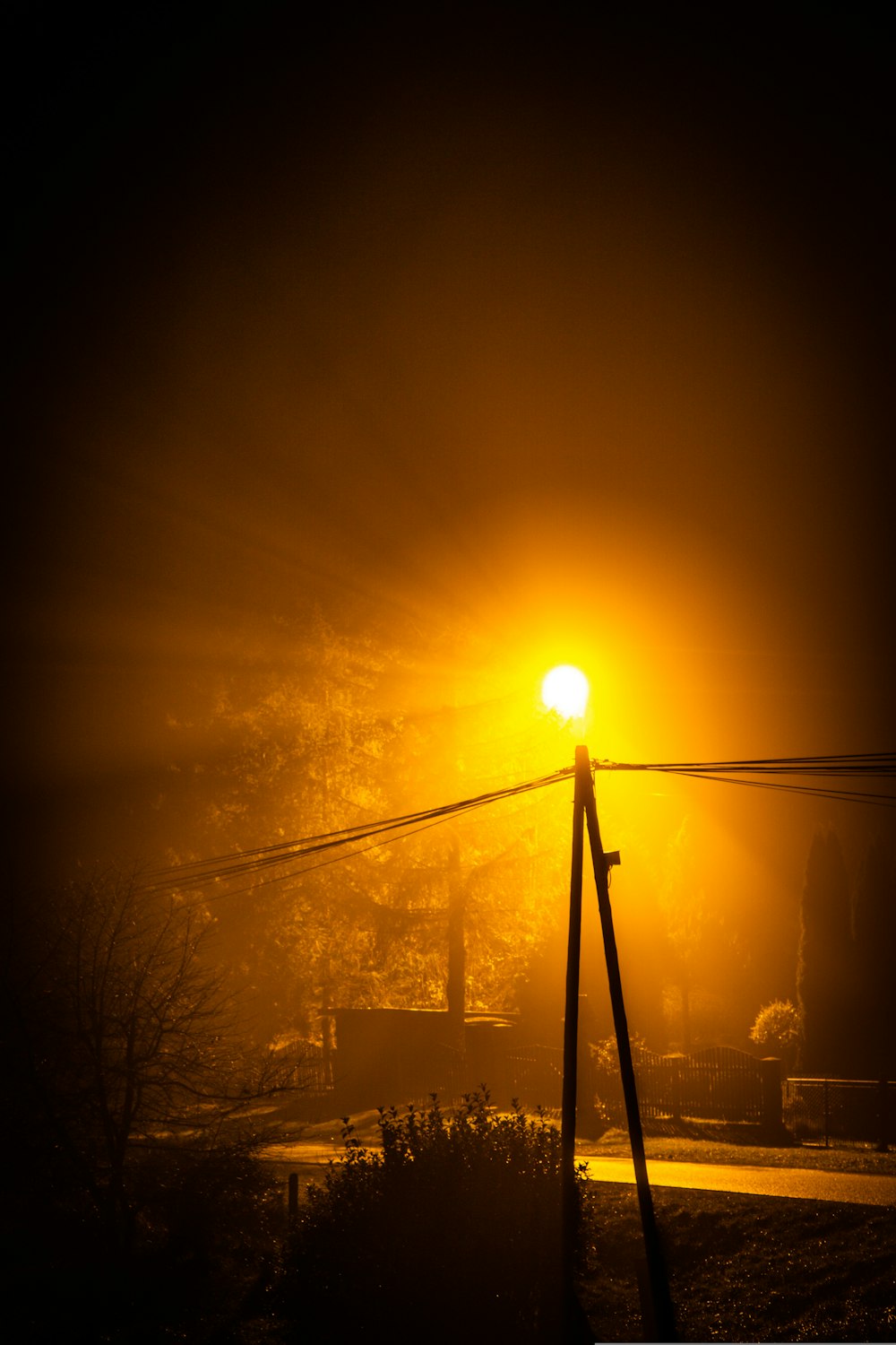 a street light in the dark on a foggy night