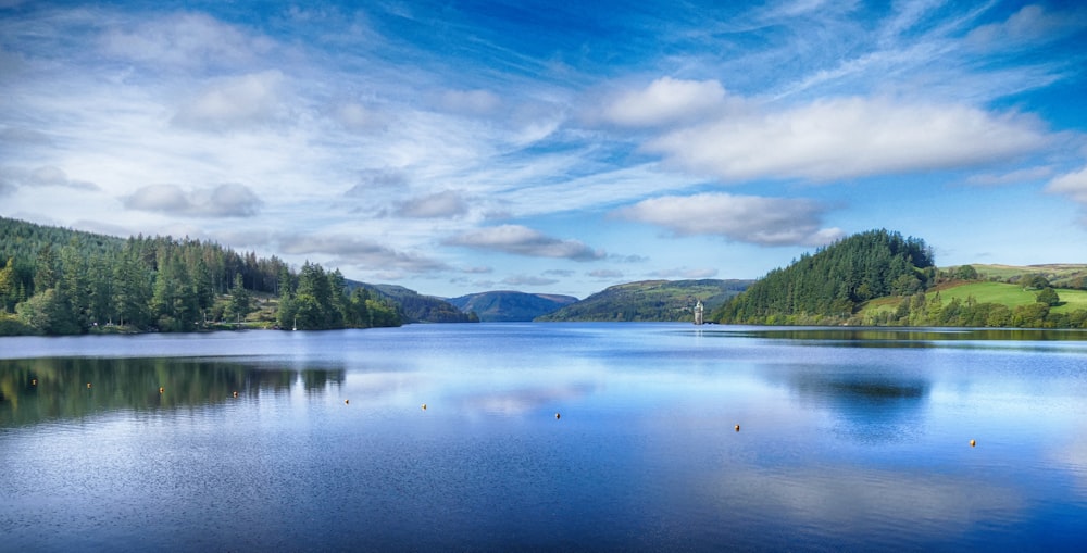 a large body of water surrounded by trees