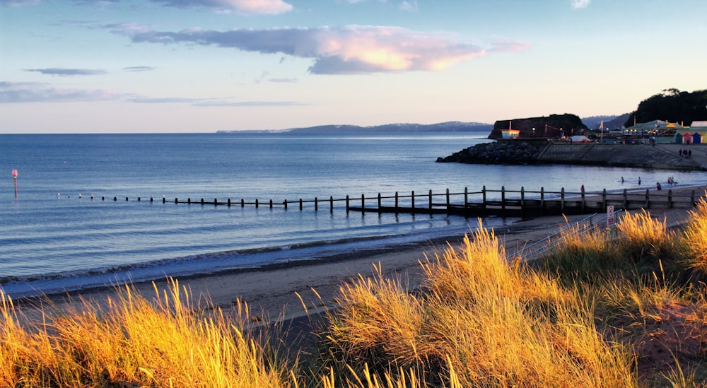 a view of a beach with a pier in the foreground