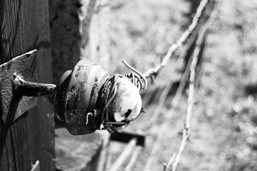 a black and white photo of a fire hydrant