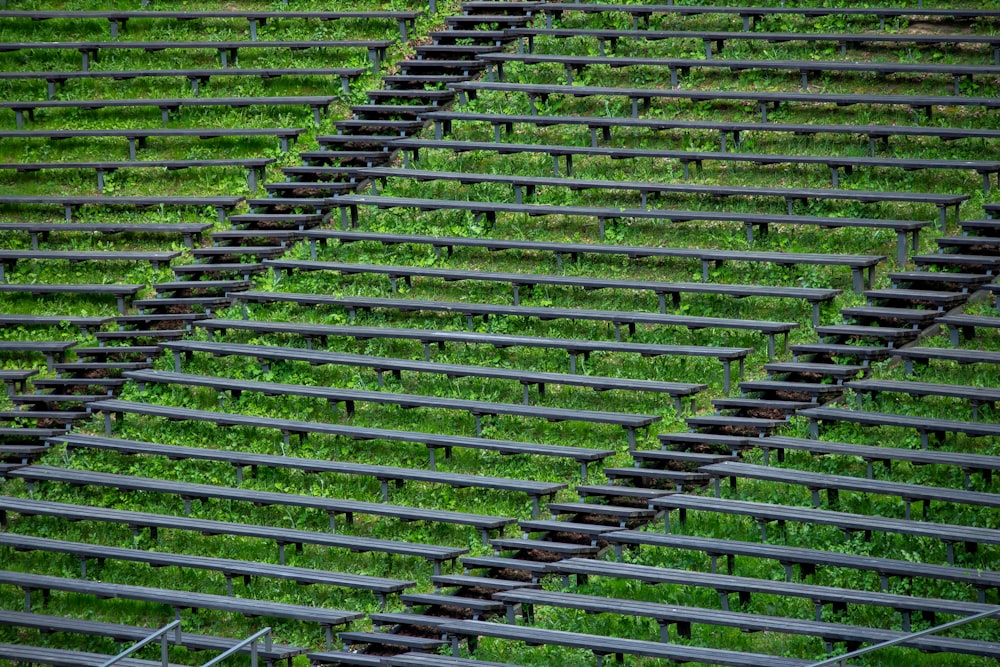 a row of seats covered in green grass