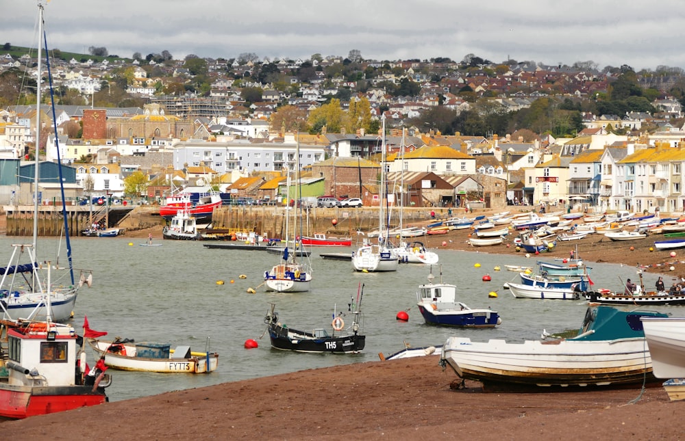 a harbor filled with lots of small boats