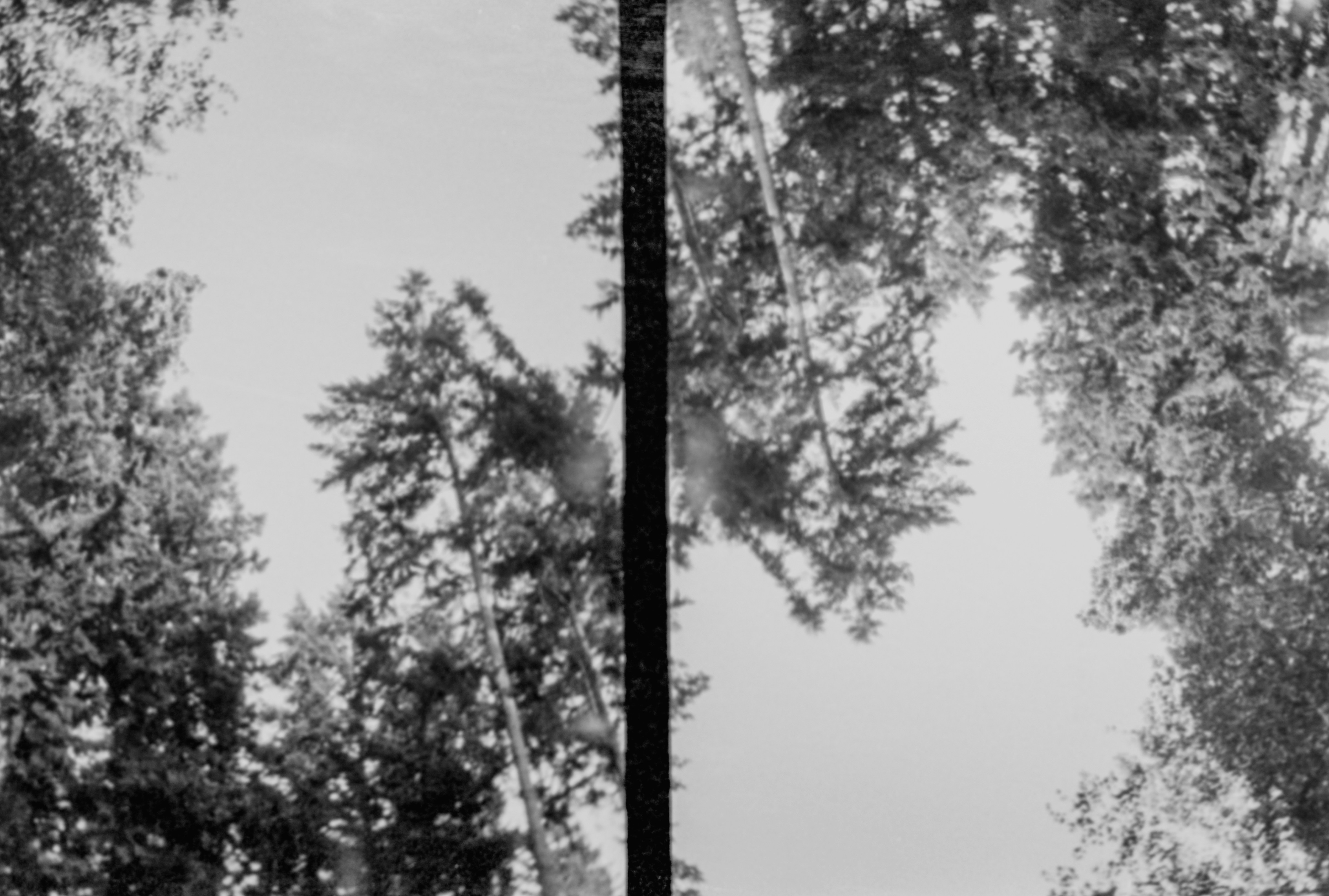 Photo by anniespratt