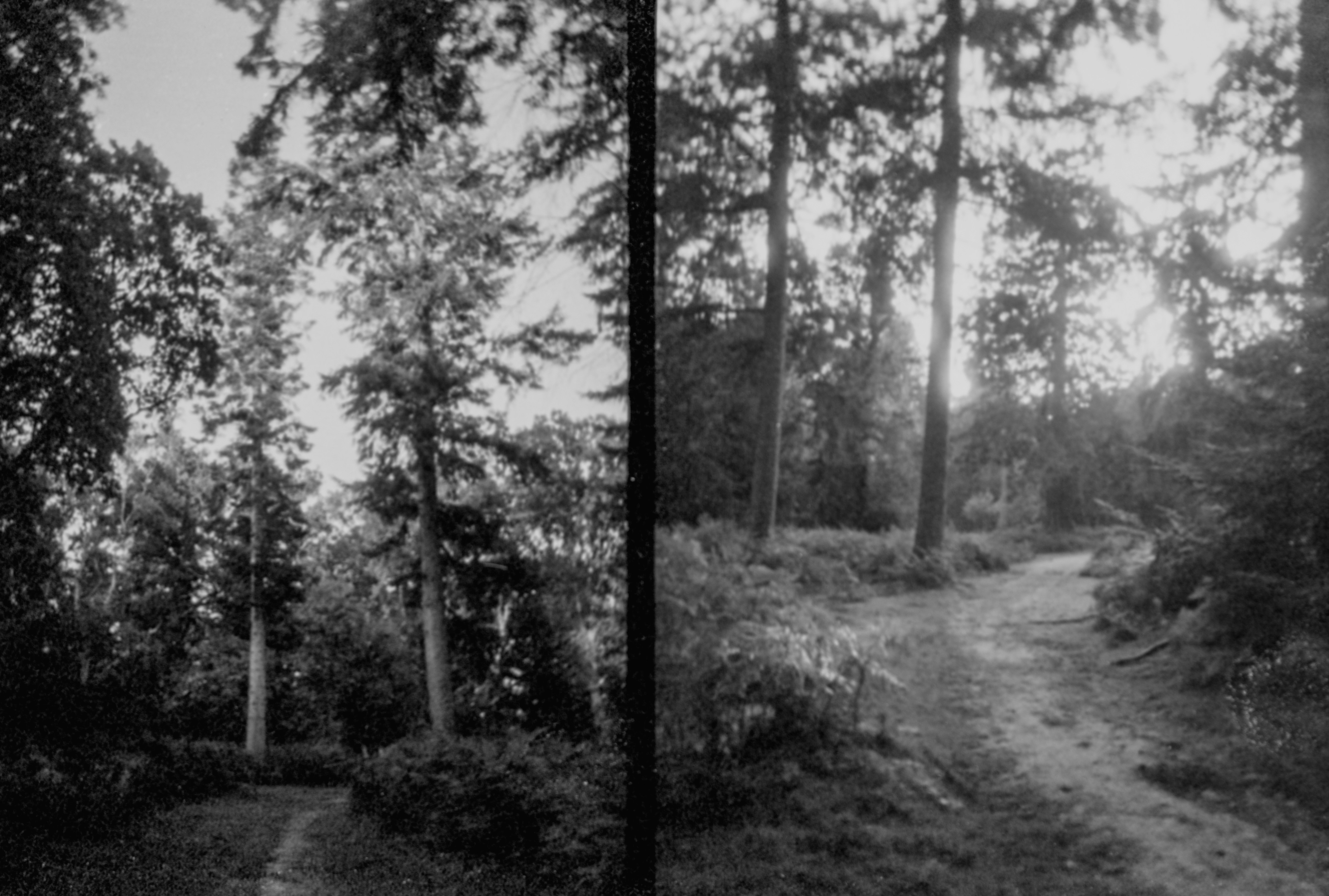 Photo by anniespratt