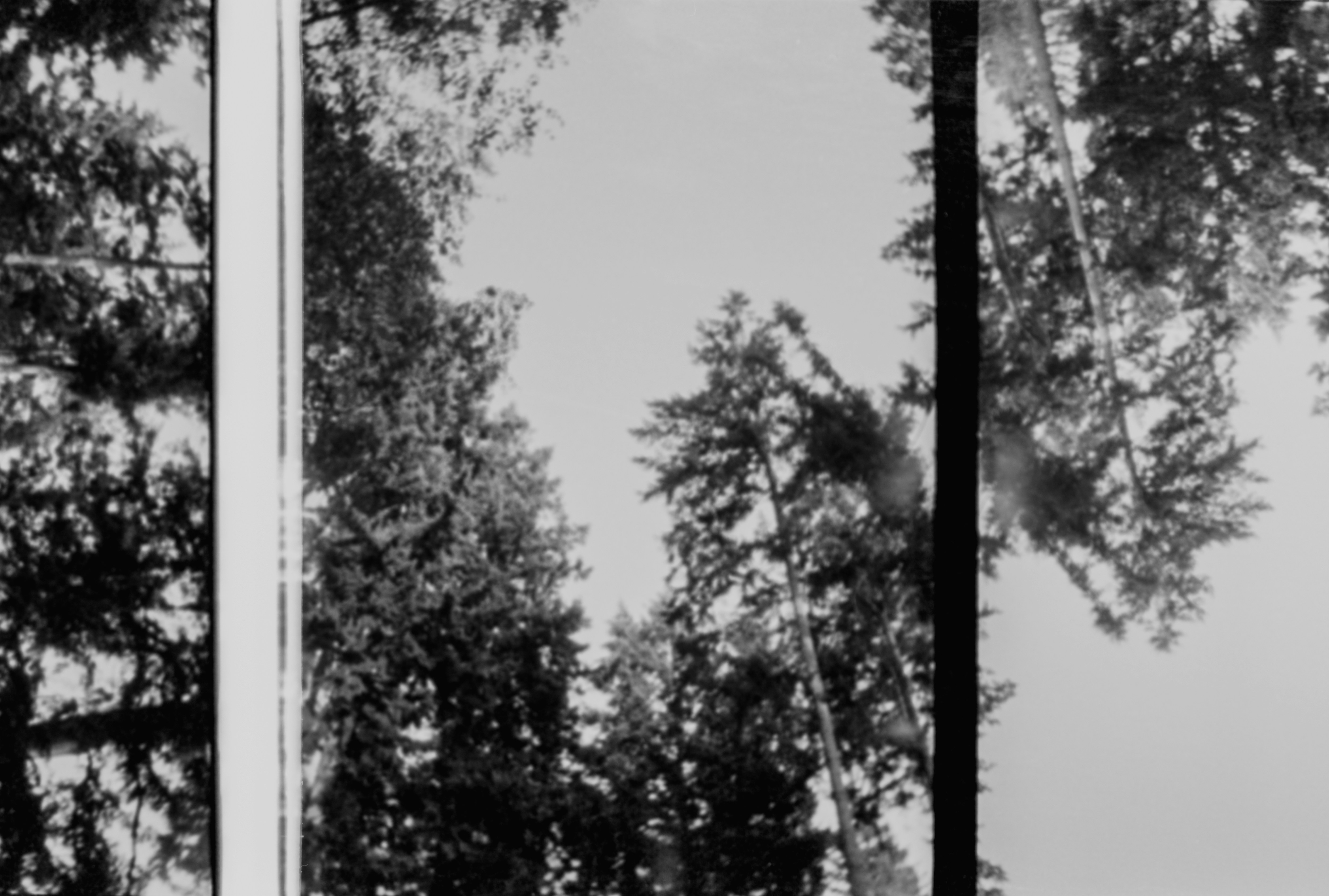 Photo by anniespratt