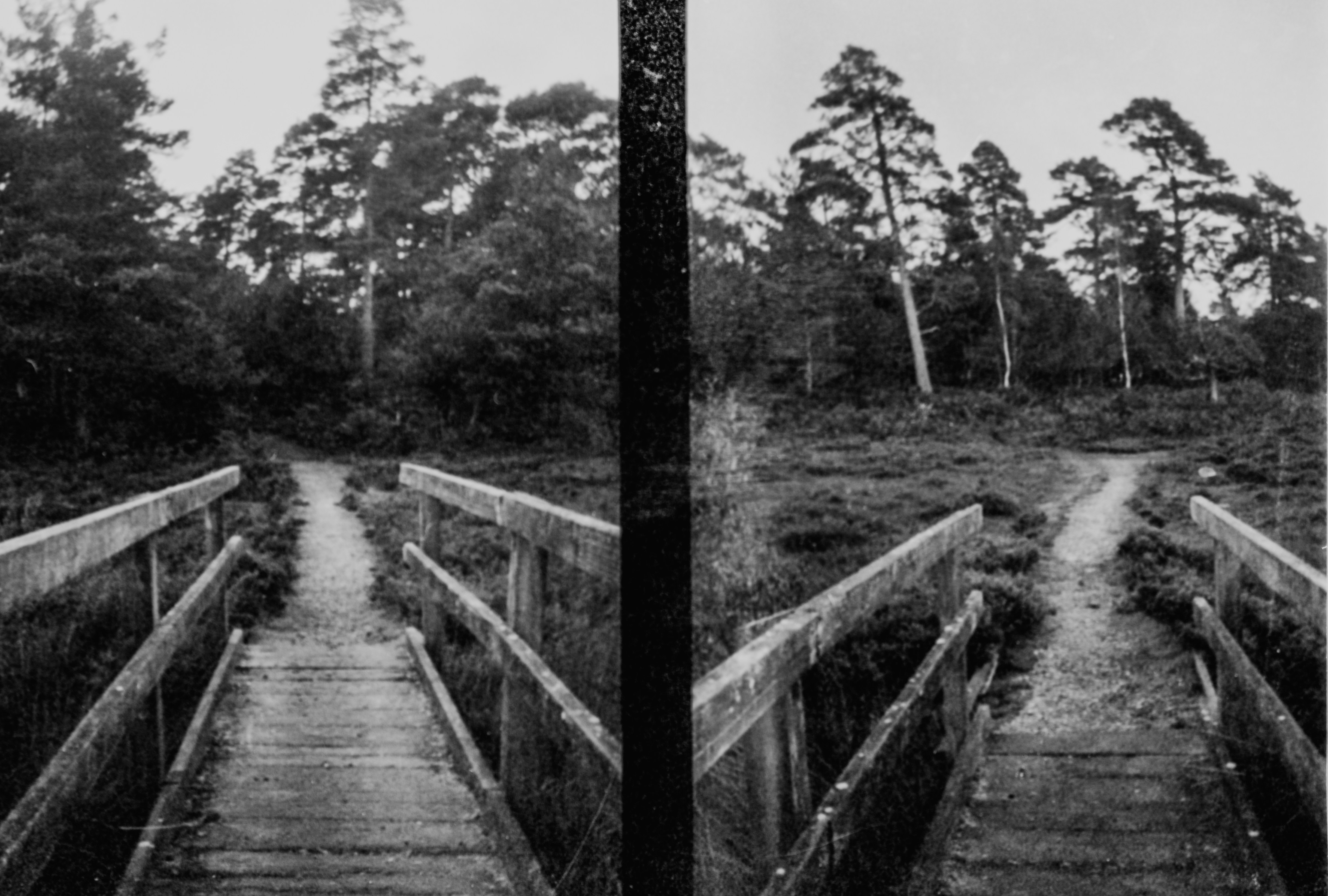 a black and white photo of a wooden bridge (Photo by Annie Spratt on Unsplash)