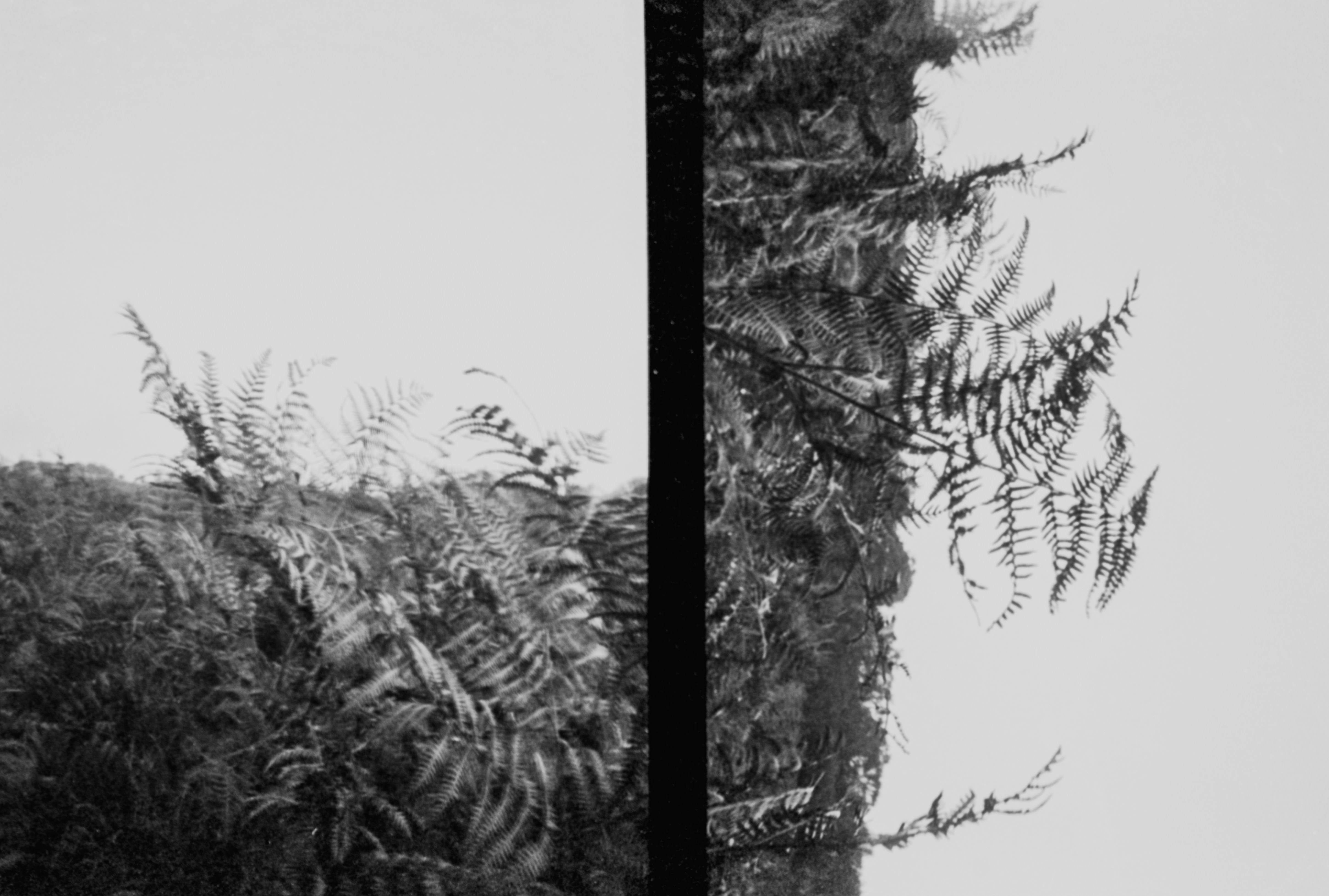 Photo by anniespratt