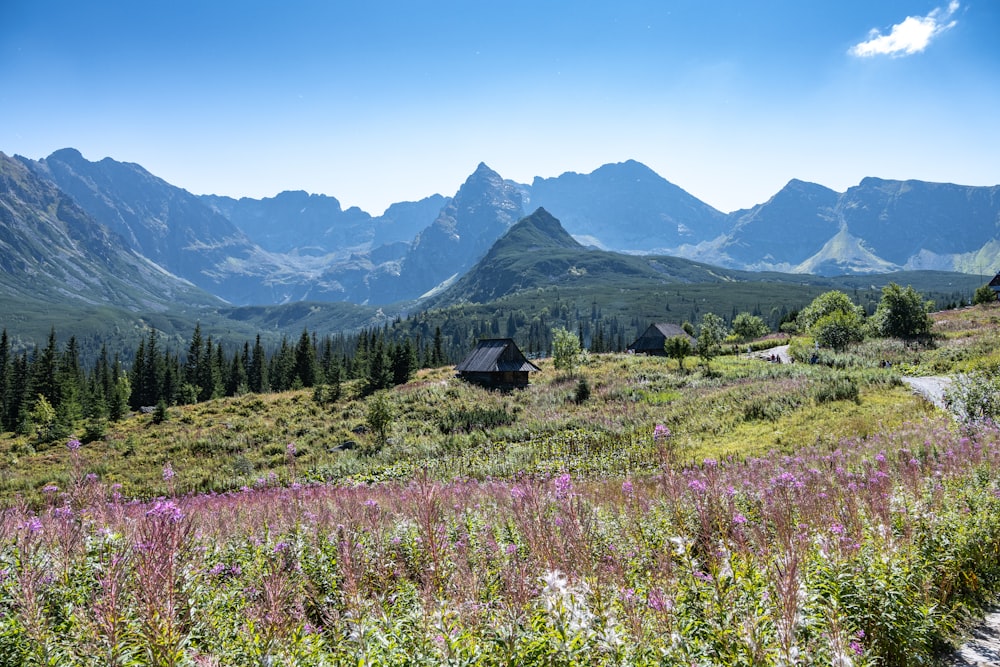 a small cabin in the middle of a field with mountains in the background