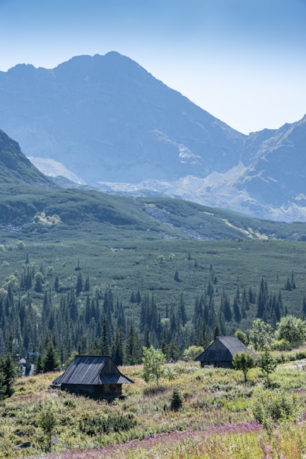 A serene mountain landscape featuring two wooden cabins nestled in a lush green meadow. Dense coniferous forests cover the middle ground, while towering mountain peaks rise impressively in the background under a clear blue sky.