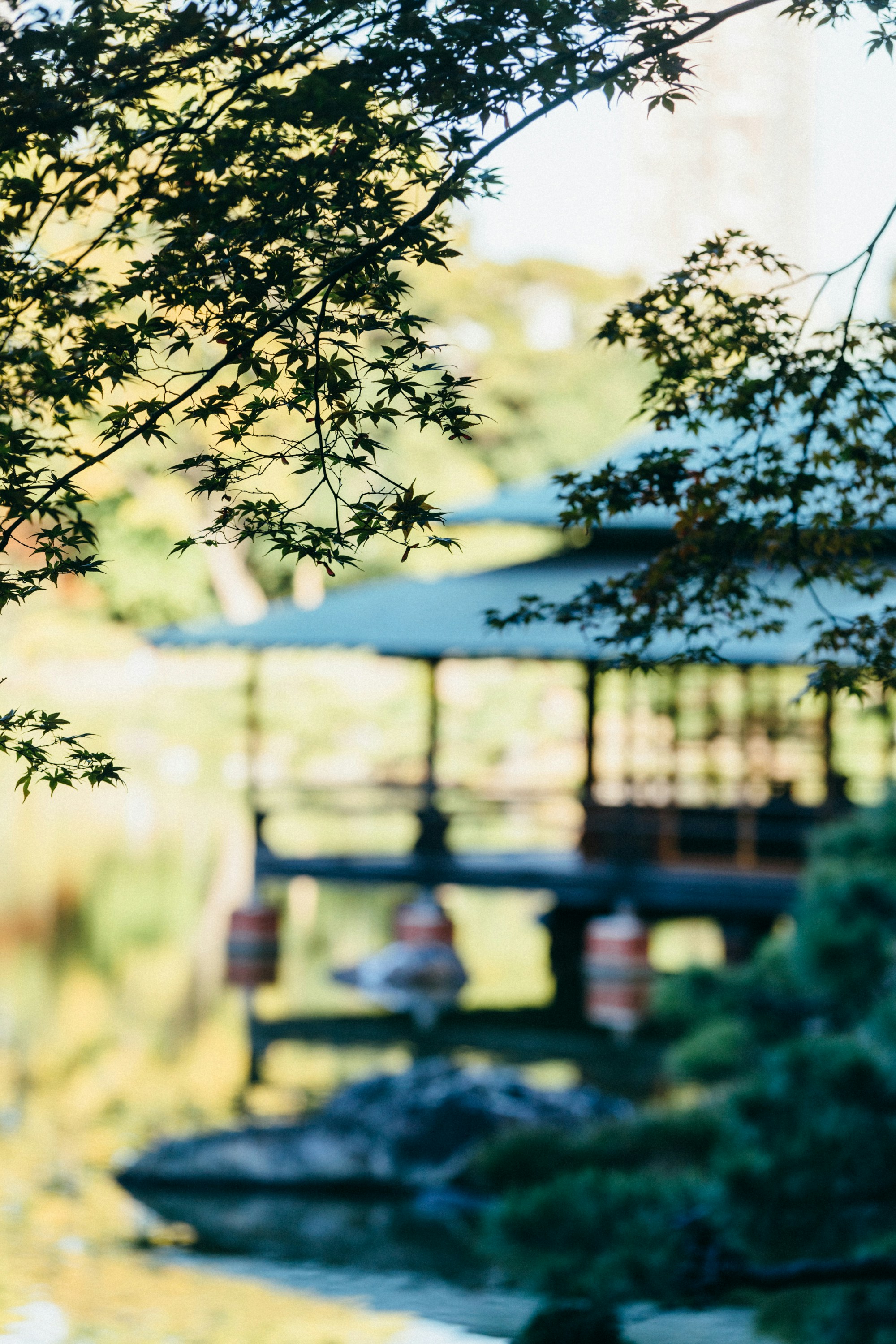 Photo by tsuyoshikozu