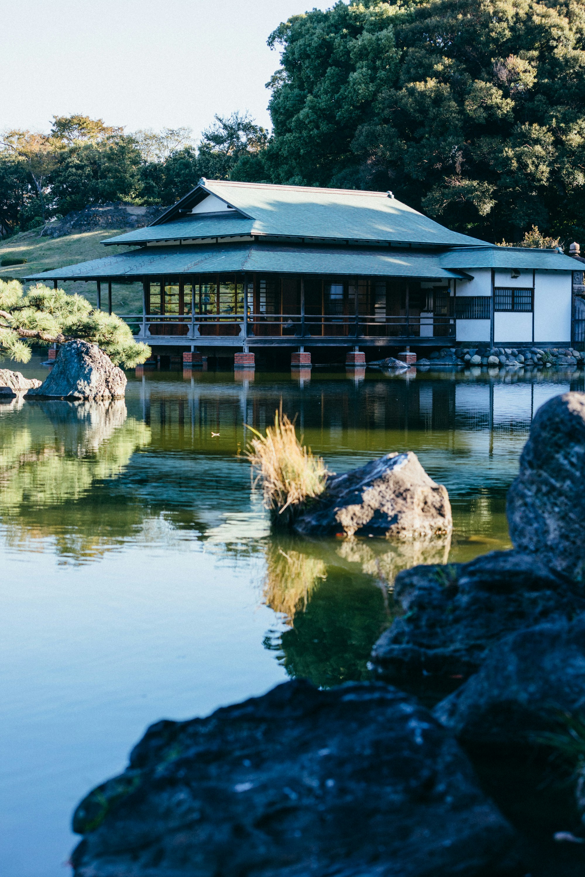 Garden and patio area.