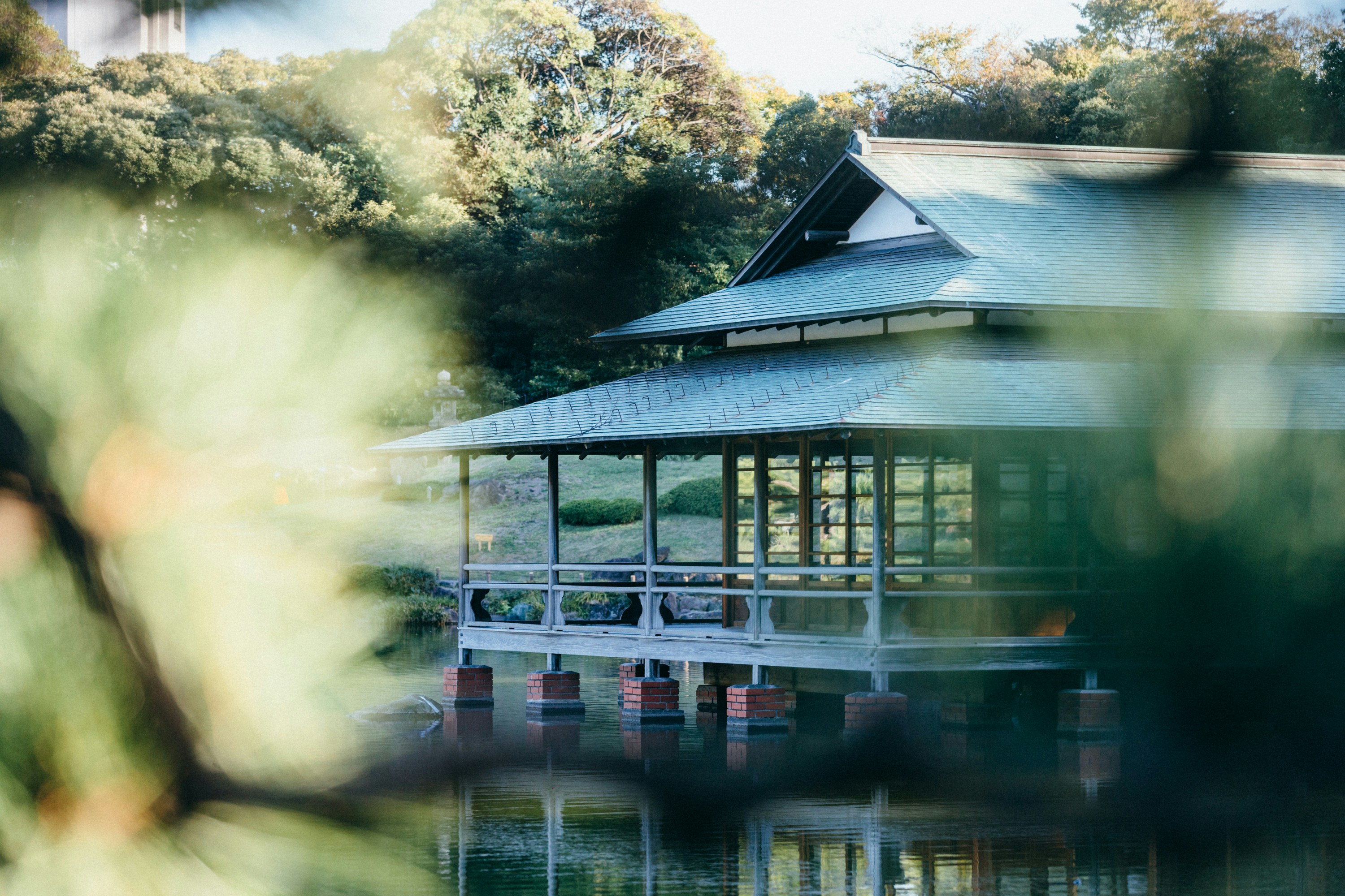 Photo by tsuyoshikozu