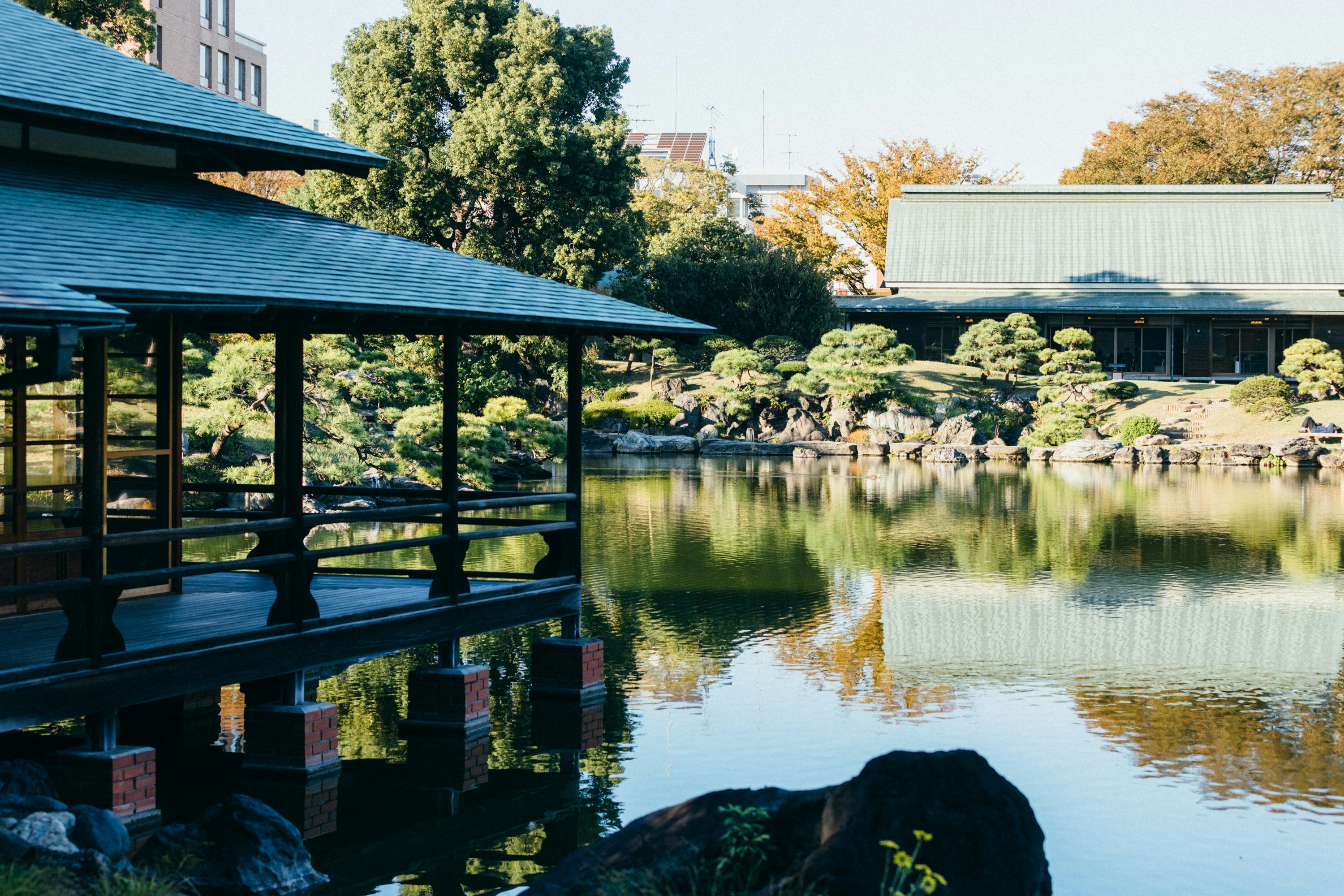 Photo by tsuyoshikozu