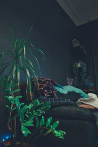 Cozy living room corner featuring green-themed home goods from Velmora Group.