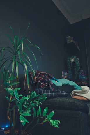 A cozy living room corner featuring a small table with a vibrant plant and a colorful throw pillow.