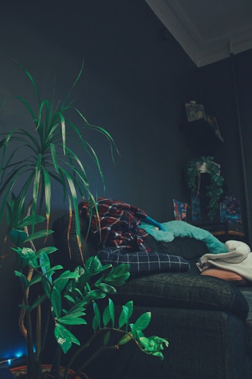A cozy living room corner featuring soft cushions, a leafy green plant, and pastel-colored throws.