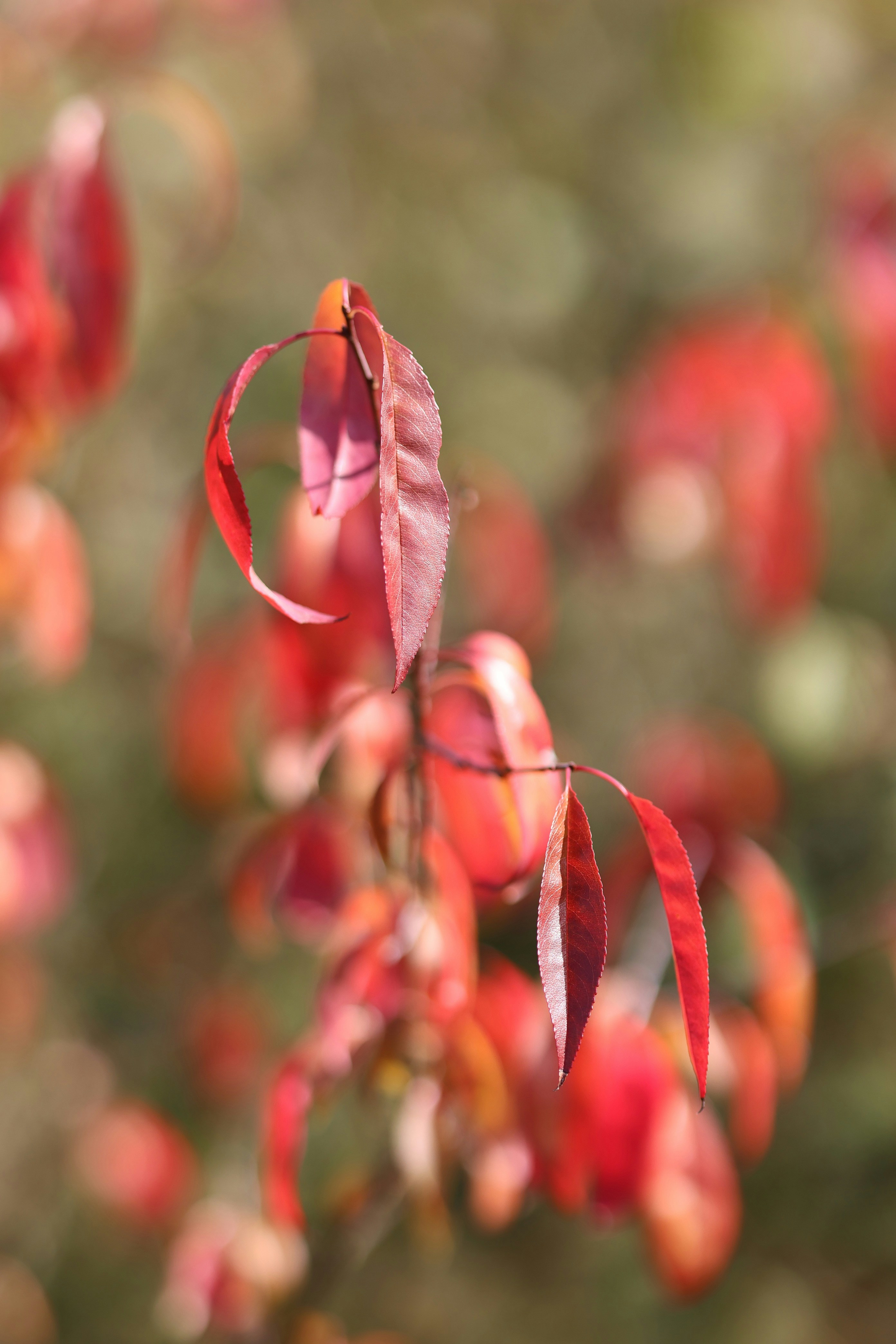 Photo by deibrinkjansen