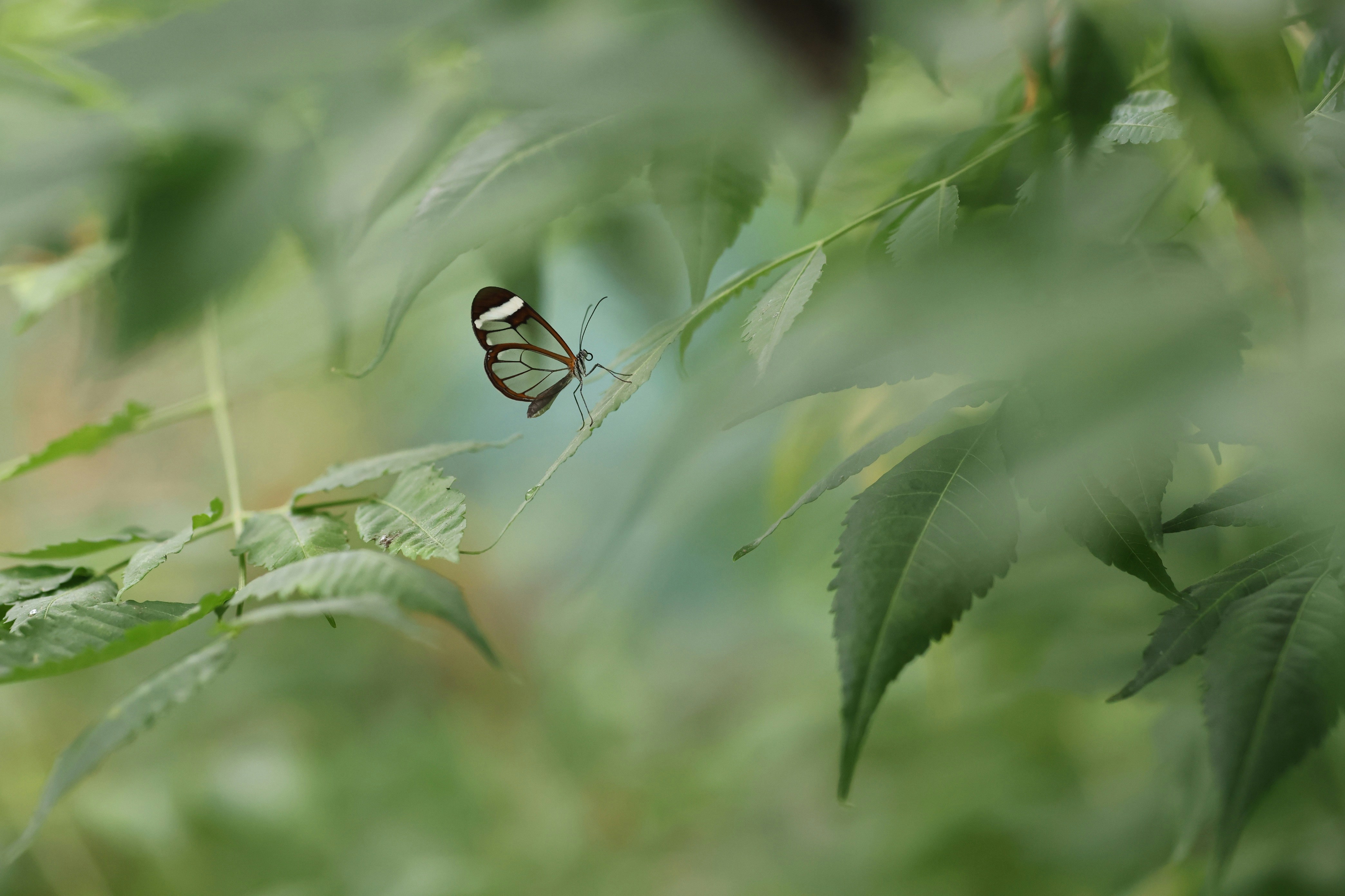 Photo by deibrinkjansen