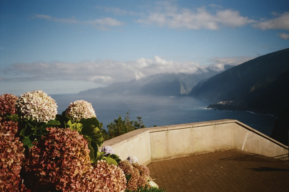 a view of a body of water with mountains in the background