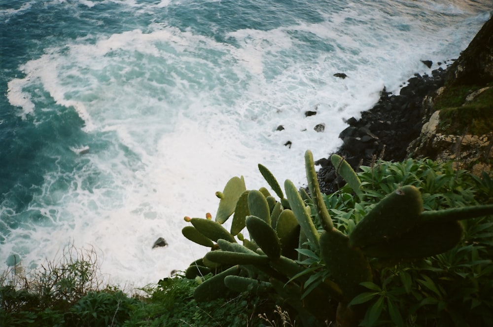 a view of a body of water from a cliff