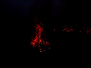 Community of dark meme enthusiasts surrounded by fiery hellish background.