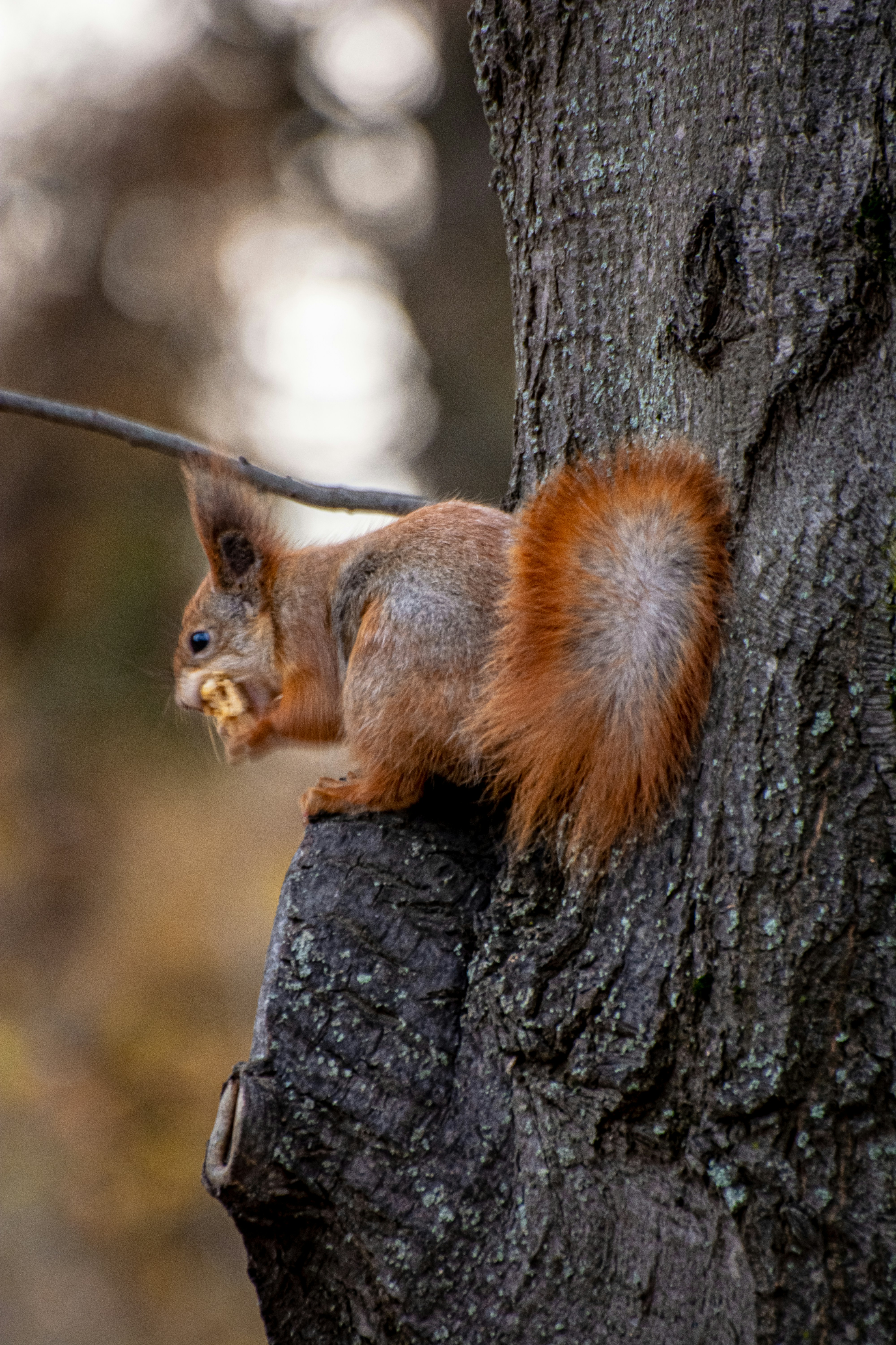 Photo by serhiikalyn