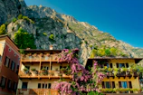 Traditional Himachali wooden houses adorned with colorful flowers under a bright sky.