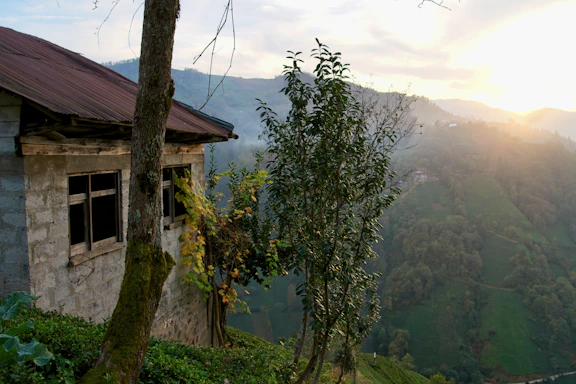 Cozy rural house nestled among lush green hills at sunset.