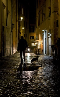 An evening walk captured with warm street lights, reflecting the simple joys shared by the owners.